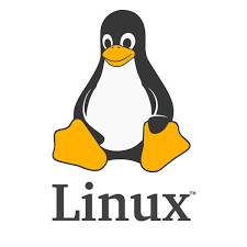 Linux Commands Basic